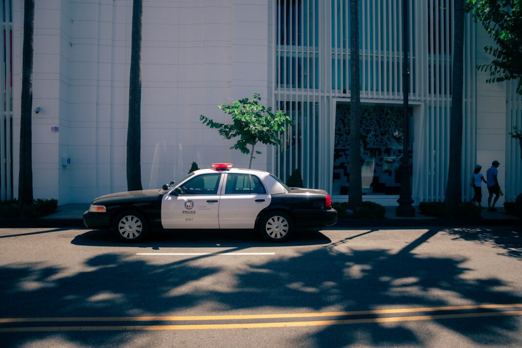 joseph-sharp-3bxeJGBTQOY-unsplash (4)