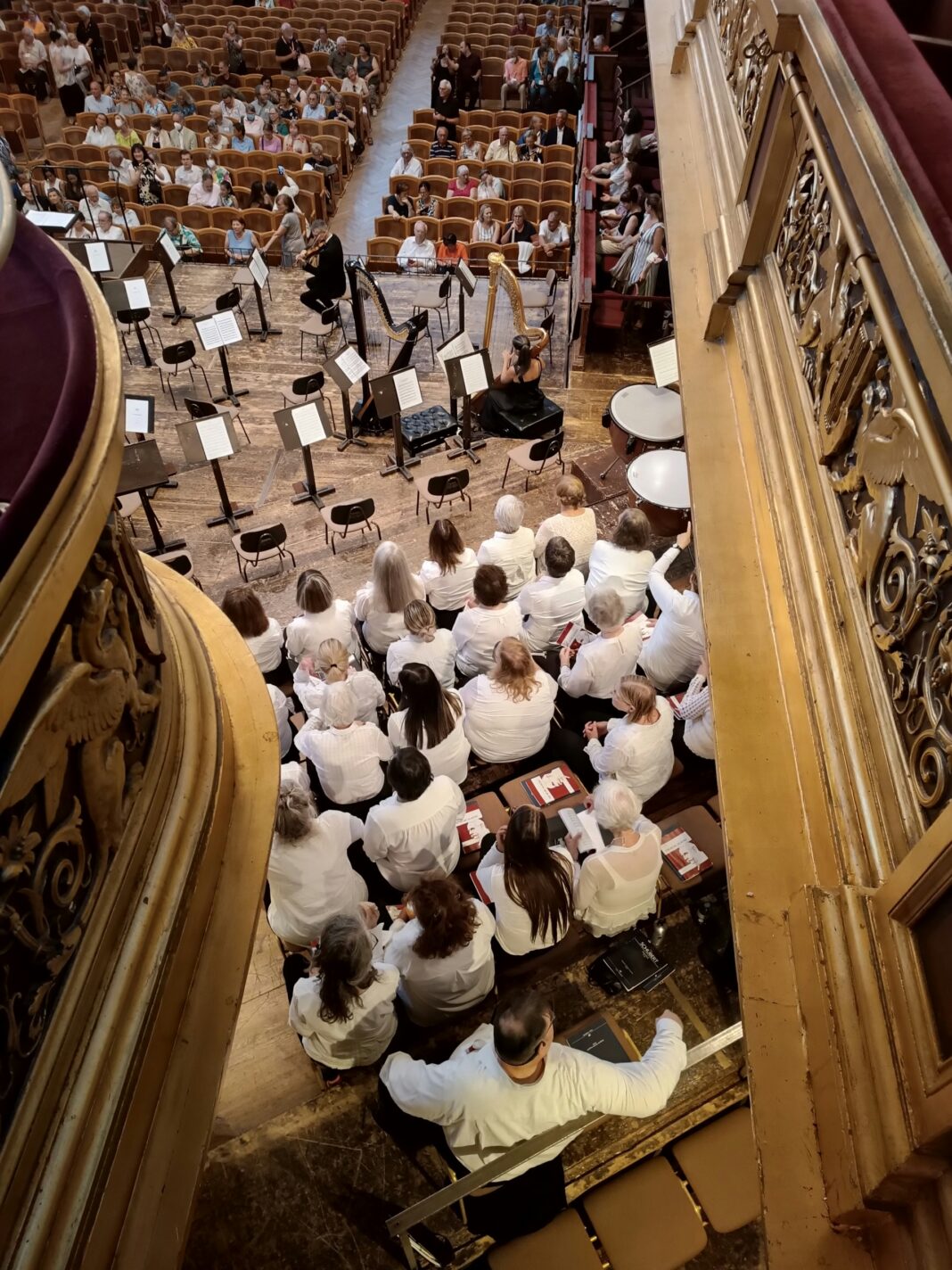 tomasz-anusiewicz-7fGfKEEXcOI-unsplash